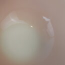 110517BV2py_044