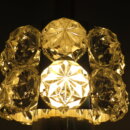 euligh_0232