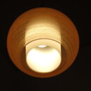ligh_0233