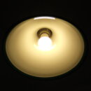 euligh_0234