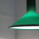 euligh_0234