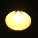 ligh_0239