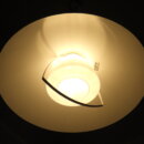 euligh_0246